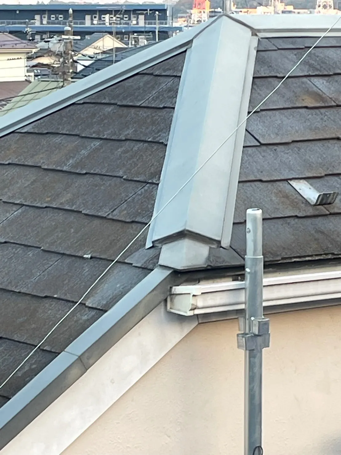 瓦の角が所々われています。